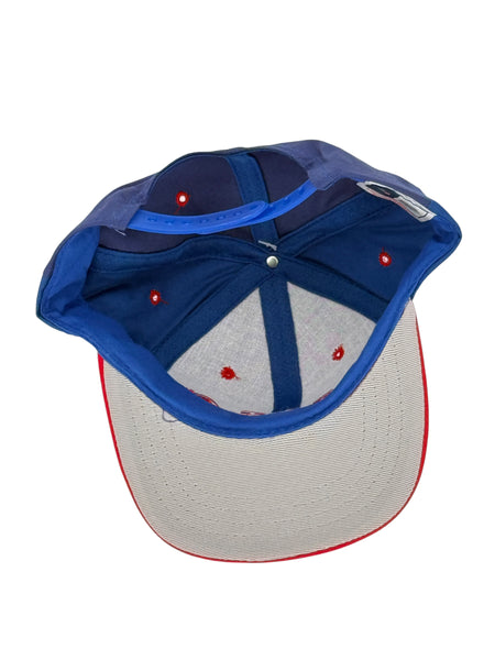 90s Kids Dead Stock Buffalo Bills (SnapBack)