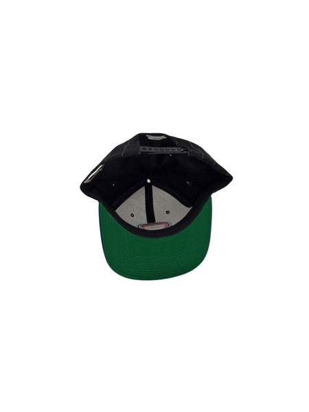 90s Detroit Pistons (Starter SnapBack)