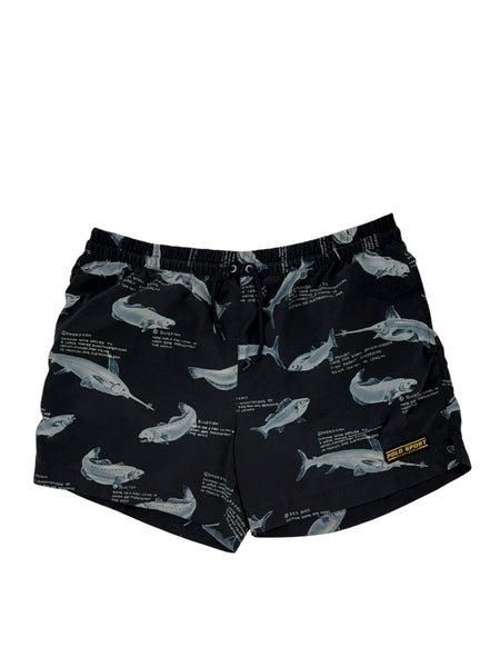 Polo Sport Swim Trunk fishes