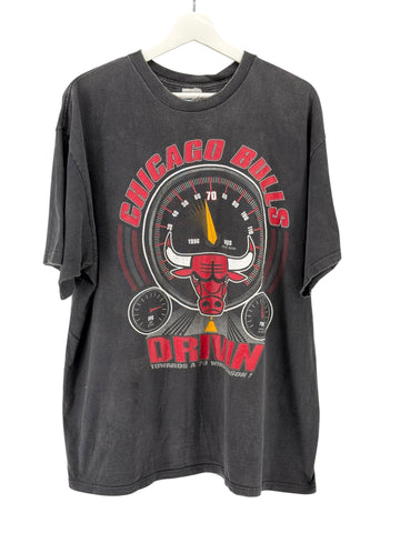 Chicago Bulls Drivin