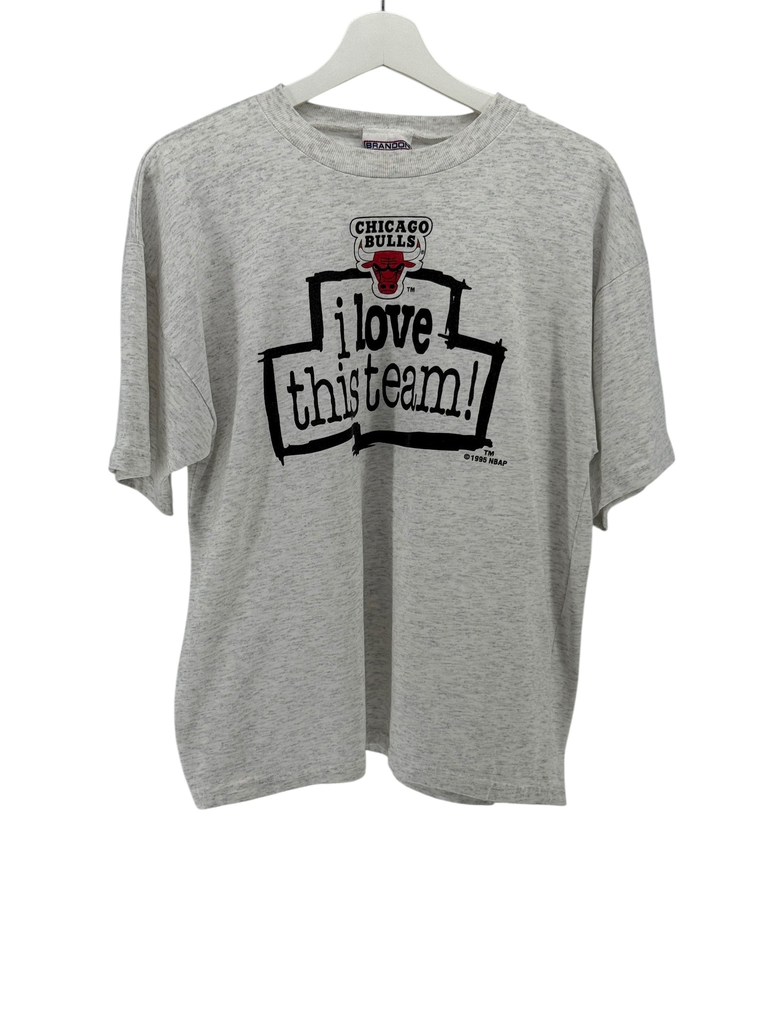 Chicago Bulls I Love This Team