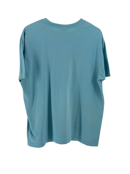 Polo  Turquoise Graphic tee
