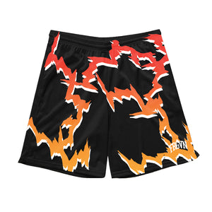 Bball Mesh Shorts